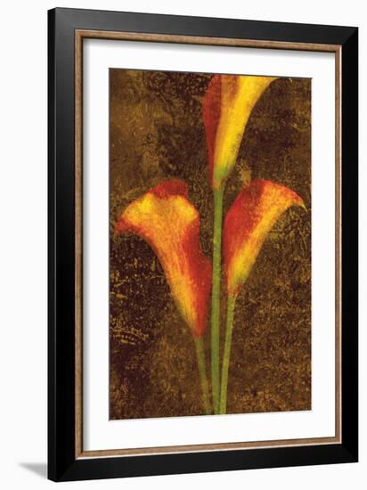 Callas-John Seba-Framed Art Print