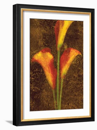 Callas-John Seba-Framed Art Print