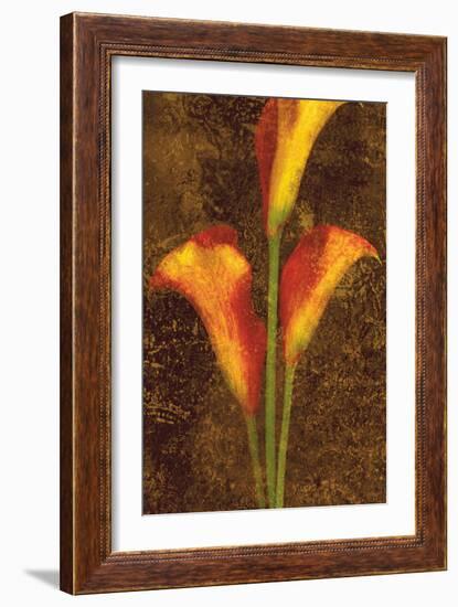 Callas-John Seba-Framed Premium Giclee Print