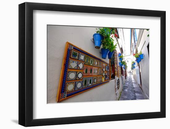 Calle De Las Flores, Cordoba, Andalucia, Spain-Carlo Morucchio-Framed Photographic Print