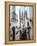 Calleja De Las Flores (Flower Alley), Spain-Lynn Seldon-Framed Premier Image Canvas