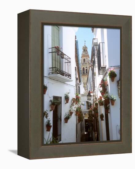 Calleja De Las Flores (Flower Alley), Spain-Lynn Seldon-Framed Premier Image Canvas