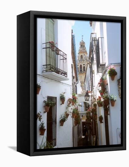 Calleja De Las Flores (Flower Alley), Spain-Lynn Seldon-Framed Premier Image Canvas