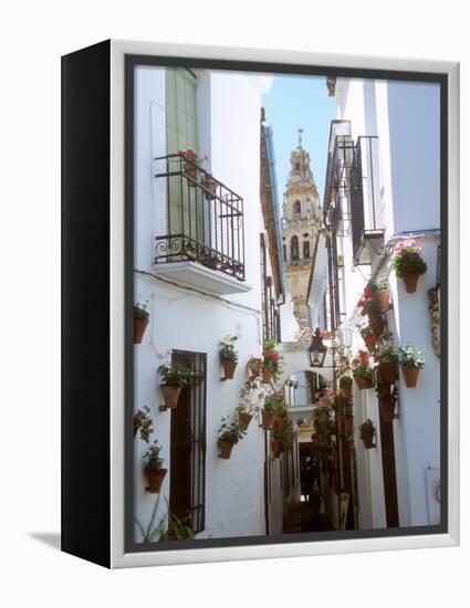 Calleja De Las Flores (Flower Alley), Spain-Lynn Seldon-Framed Premier Image Canvas