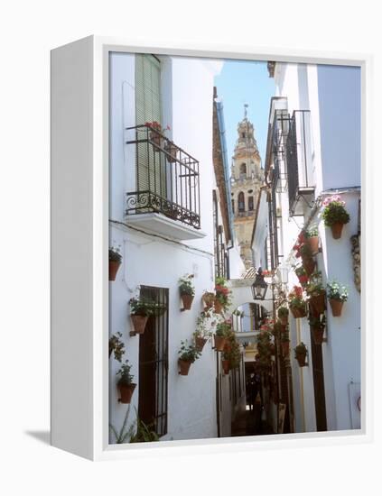 Calleja De Las Flores (Flower Alley), Spain-Lynn Seldon-Framed Premier Image Canvas