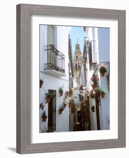 Calleja De Las Flores (Flower Alley), Spain-Lynn Seldon-Framed Photographic Print