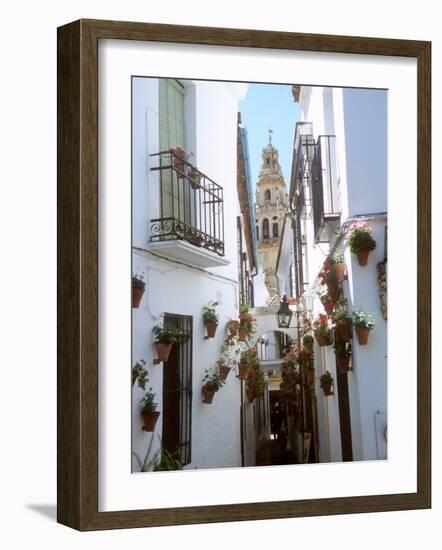 Calleja De Las Flores (Flower Alley), Spain-Lynn Seldon-Framed Photographic Print