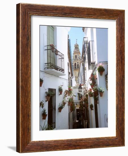 Calleja De Las Flores (Flower Alley), Spain-Lynn Seldon-Framed Photographic Print