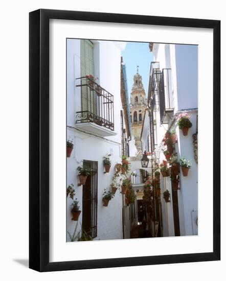 Calleja De Las Flores (Flower Alley), Spain-Lynn Seldon-Framed Photographic Print