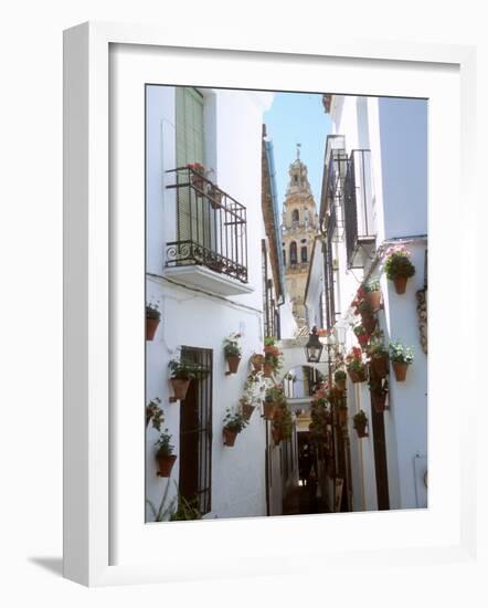 Calleja De Las Flores (Flower Alley), Spain-Lynn Seldon-Framed Photographic Print