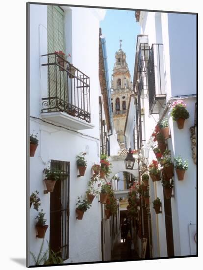 Calleja De Las Flores (Flower Alley), Spain-Lynn Seldon-Mounted Photographic Print