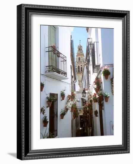 Calleja De Las Flores (Flower Alley), Spain-Lynn Seldon-Framed Photographic Print