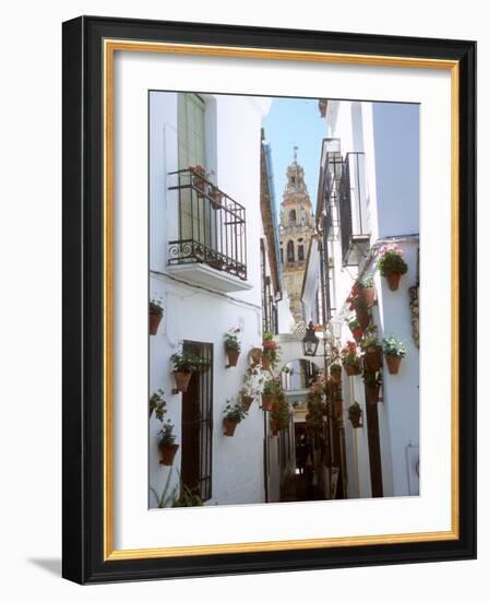 Calleja De Las Flores (Flower Alley), Spain-Lynn Seldon-Framed Photographic Print