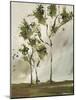 Calli Trees I-Kelsey Hochstatter-Mounted Art Print