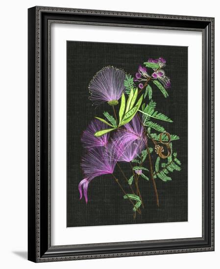 Calliandra Surinamensis II-Melissa Wang-Framed Art Print