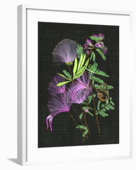 Calliandra Surinamensis II-Melissa Wang-Framed Art Print