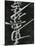 Calligraphy, Japan, 1970-Brett Weston-Mounted Premium Photographic Print