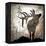 Calling Elk-LightBoxJournal-Framed Premier Image Canvas