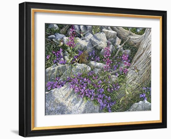 Calliope Hummingbirds-Jeff Tift-Framed Giclee Print