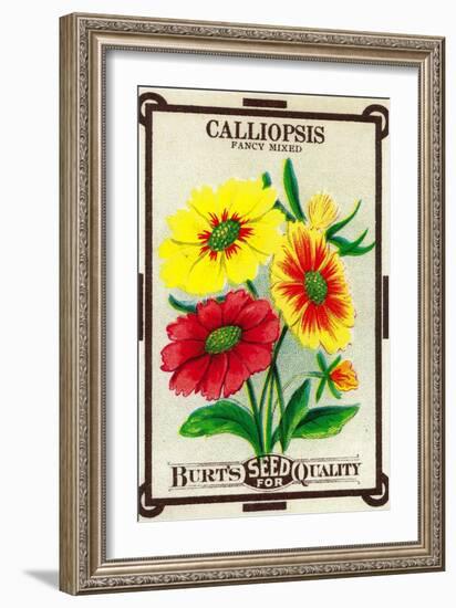 Calliopsis Seed Packet-Lantern Press-Framed Art Print