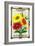 Calliopsis Seed Packet-Lantern Press-Framed Art Print