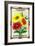 Calliopsis Seed Packet-Lantern Press-Framed Art Print