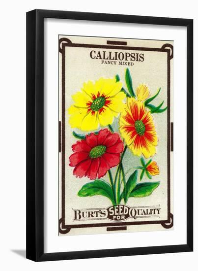 Calliopsis Seed Packet-Lantern Press-Framed Art Print