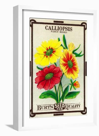 Calliopsis Seed Packet-Lantern Press-Framed Art Print