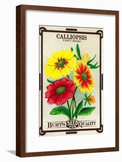 Calliopsis Seed Packet-Lantern Press-Framed Art Print