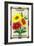 Calliopsis Seed Packet-Lantern Press-Framed Art Print