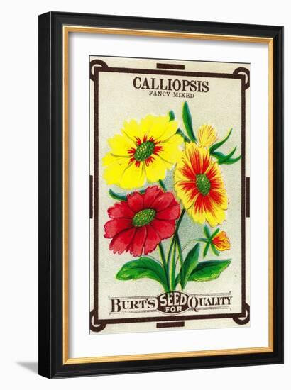 Calliopsis Seed Packet-Lantern Press-Framed Art Print