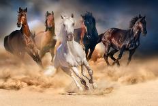 Horse Herd Run in Desert Sand Storm against Dramatic Sky-Callipso-Premier Image Canvas