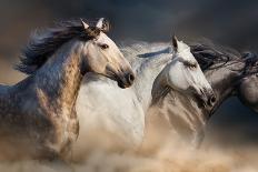 Horse Herd Run in Desert Sand Storm against Dramatic Sky-Callipso-Mounted Photographic Print