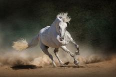 Horse Herd Run in Desert Sand Storm against Dramatic Sky-Callipso-Mounted Photographic Print