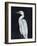 Calm Great Egret I-Annie Warren-Framed Art Print