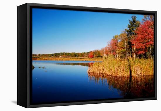 Calm Lake in New England, Connecticut, Usa-Sabine Jacobs-Framed Premier Image Canvas