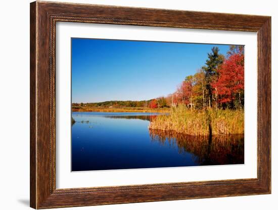 Calm Lake in New England, Connecticut, Usa-Sabine Jacobs-Framed Photographic Print