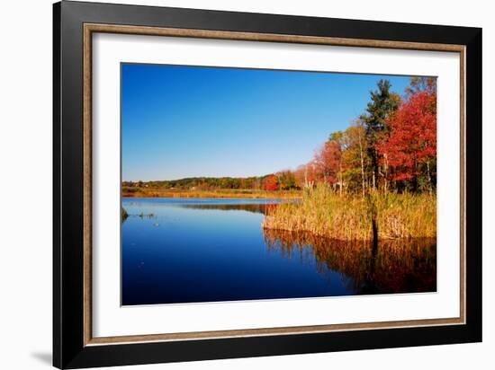 Calm Lake in New England, Connecticut, Usa-Sabine Jacobs-Framed Photographic Print