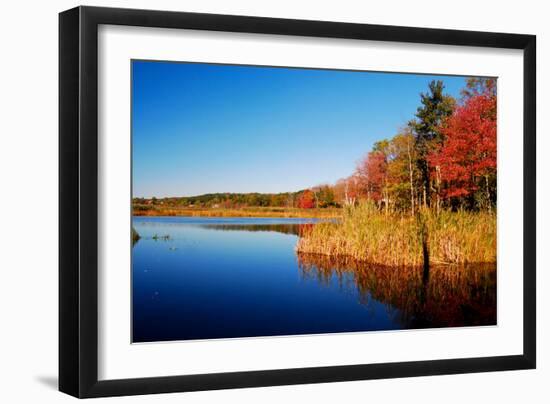 Calm Lake in New England, Connecticut, Usa-Sabine Jacobs-Framed Photographic Print