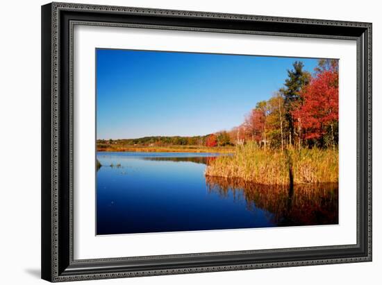 Calm Lake in New England, Connecticut, Usa-Sabine Jacobs-Framed Photographic Print