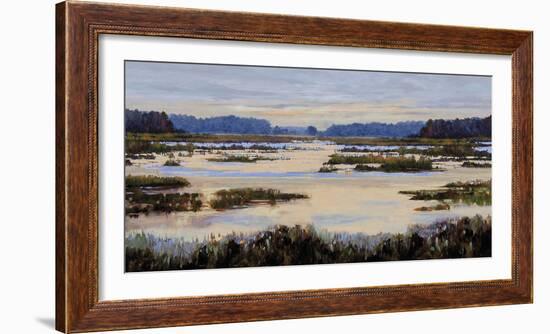 Calm Marshes-Tania Bello-Framed Giclee Print