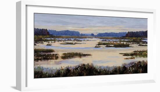 Calm Marshes-Tania Bello-Framed Giclee Print