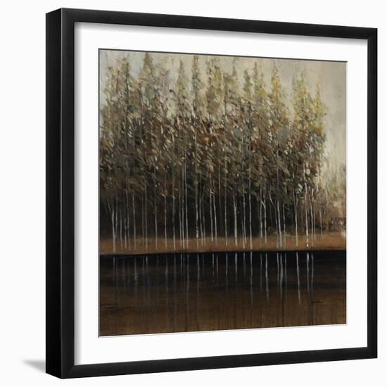 Calm Reflection-Tim O'toole-Framed Giclee Print