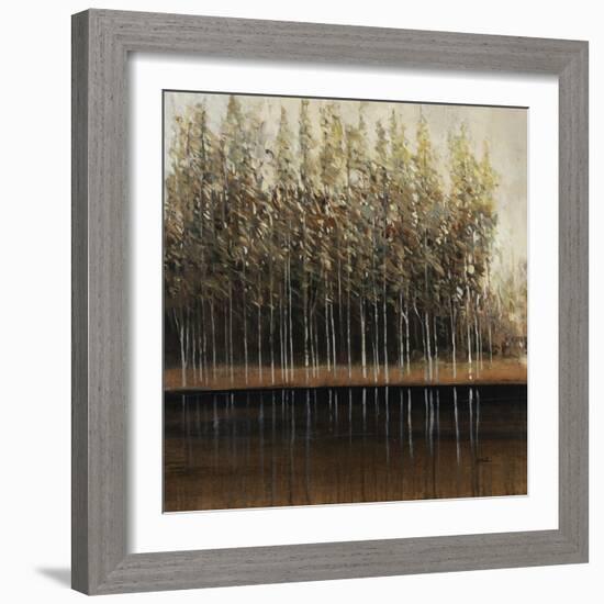 Calm Reflections-Tim O'toole-Framed Giclee Print