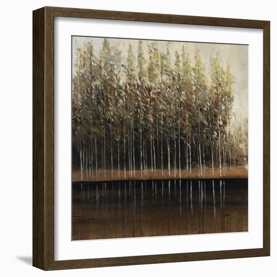 Calm Reflections-Tim O'toole-Framed Giclee Print