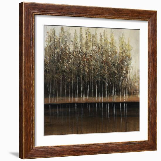 Calm Reflections-Tim O'toole-Framed Giclee Print