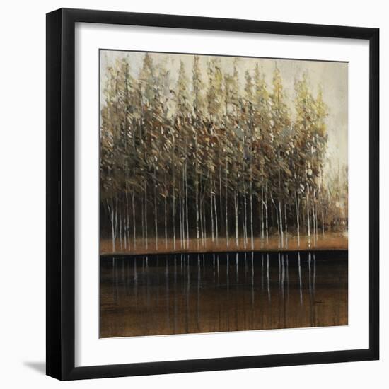 Calm Reflections-Tim O'toole-Framed Giclee Print