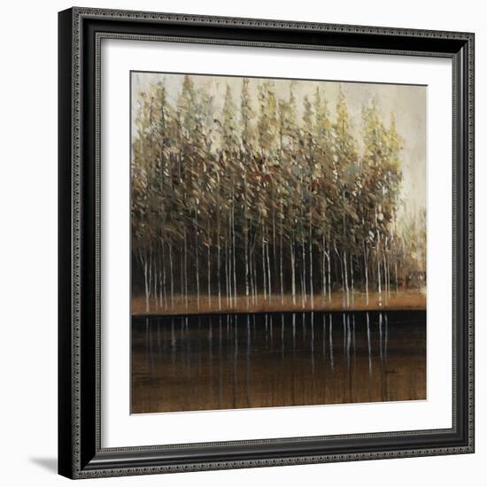 Calm Reflections-Tim O'toole-Framed Giclee Print