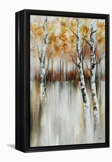 Calm Reverie-Rikki Drotar-Framed Premier Image Canvas