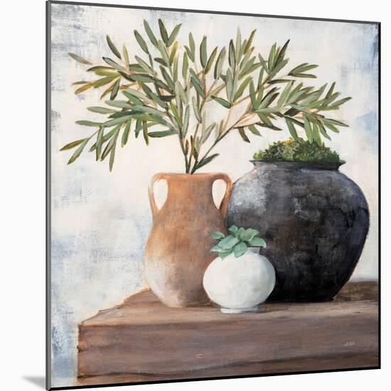 Calm Still Life Dark II-Julia Purinton-Mounted Art Print